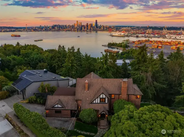 Professionally curated yard with the largest Magnolia tree in West Seattle.