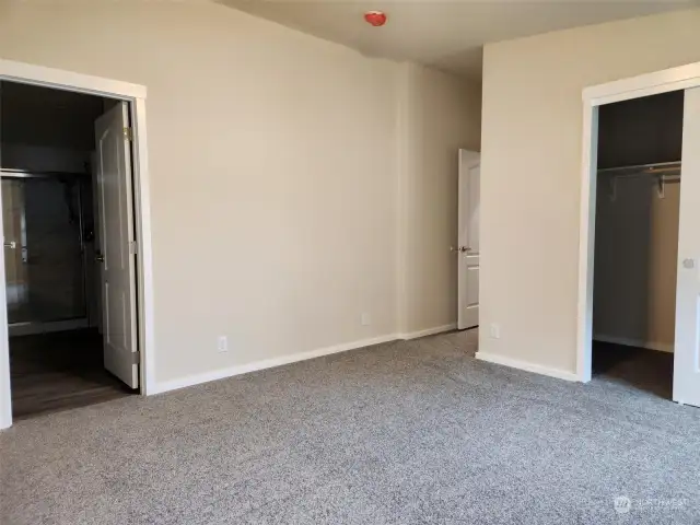 Primary view with door to bath and closet.