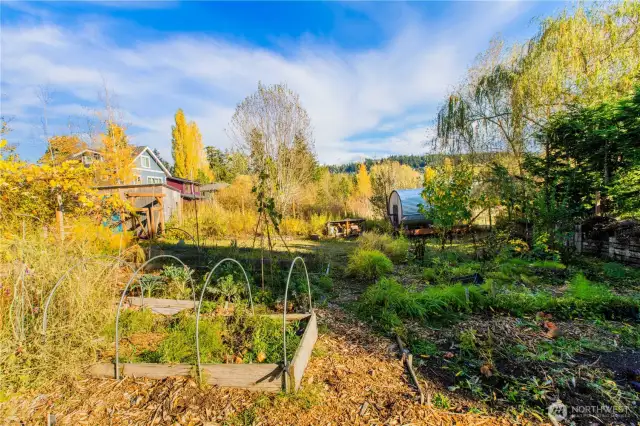 Shared garden space