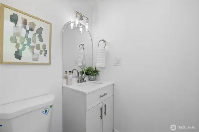 Guest bathroom - lower level.