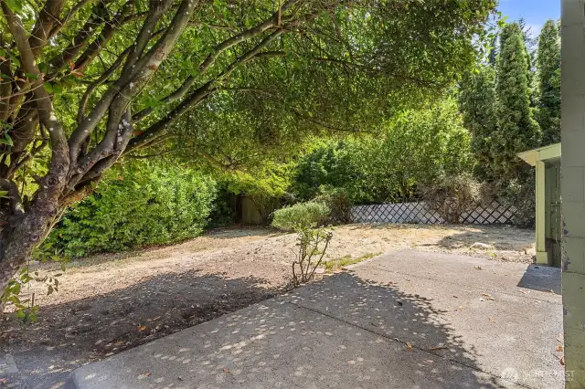 Spacious back yard - there is a utility shed in the back right corner