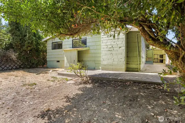 Covered patio area is along the right, gates on either side, and oversized crawl space access down the stairs to the left of the chimney casing