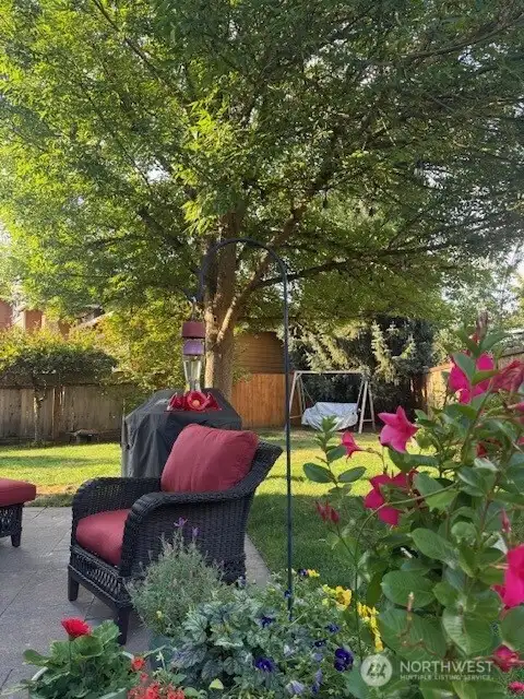 More summer views...