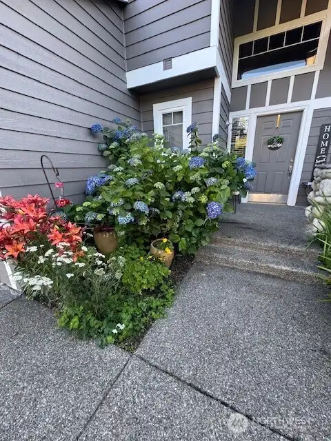 Spring and summer blooming plants are already in place for you.  What a welcome sight for you to enjoy!