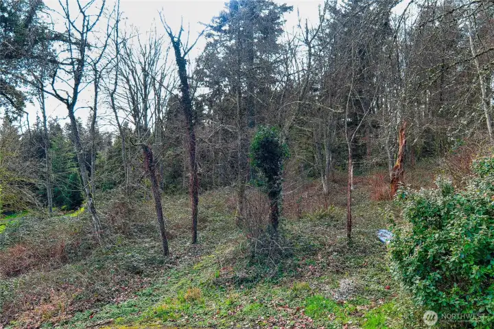 Stellar location—less than 10 minutes to I-405, SR-522, downtown Bothell, and Woodinville’s renowned wineries, dining, and entertainment. Enjoy privacy with unbeatable convenience.