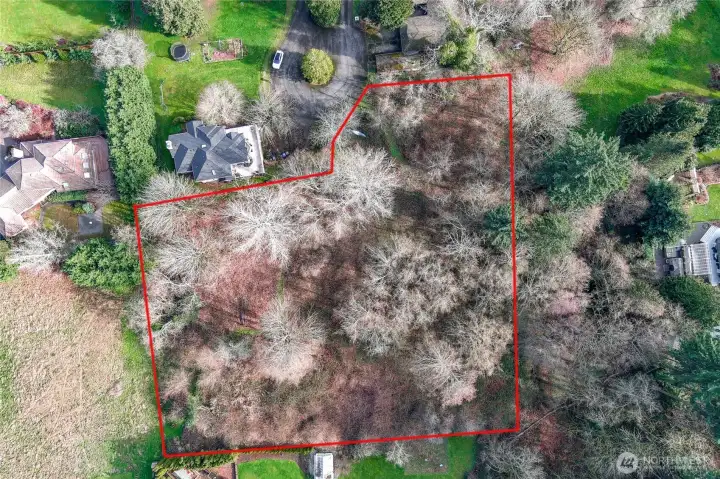 Level, usable land with endless design possibilities