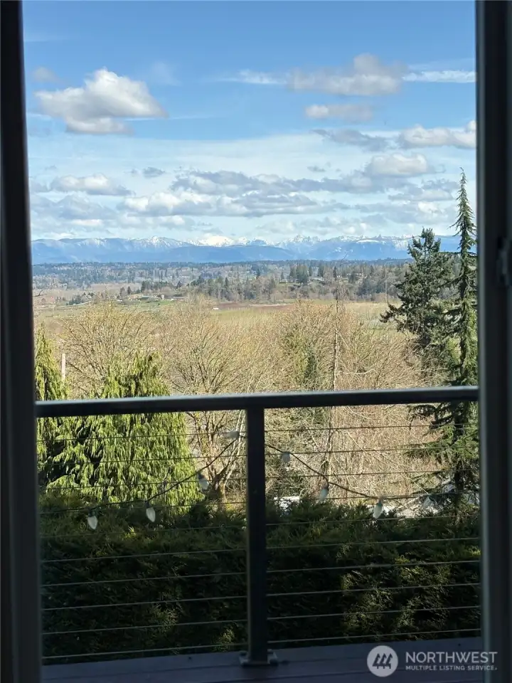 Living room with view