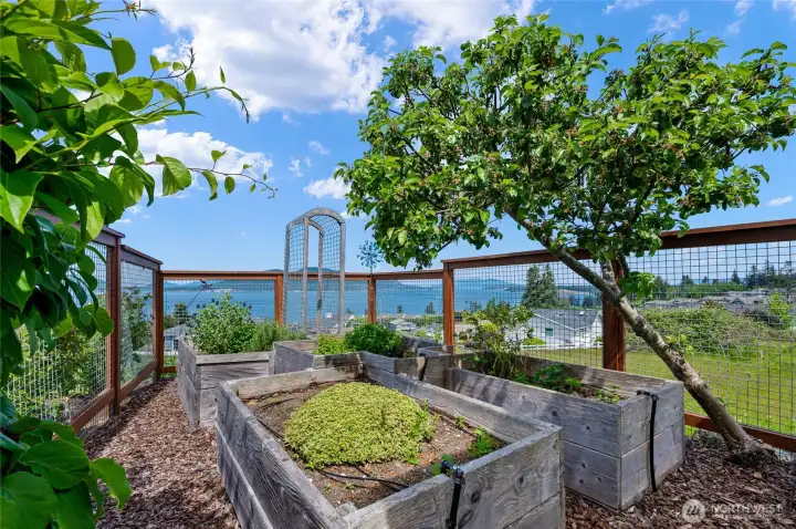 Fenced in raised garden beds. Fenced in raised garden beds.