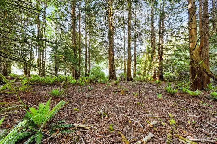 The property backs up to walking trails that lead to the resort and marina.