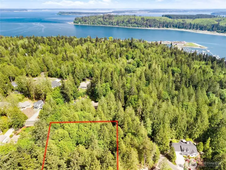 Don't miss this incredible opportunity! to build your dream home in Port Ludlow.