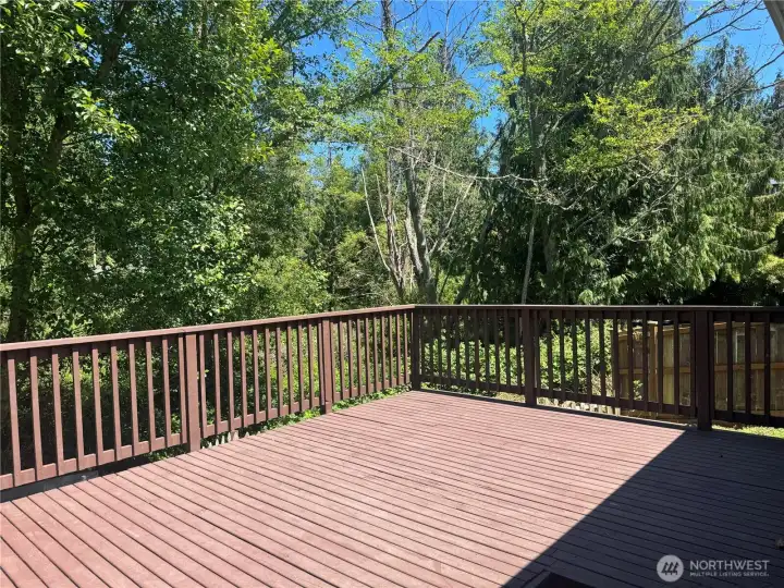 Back Deck #1. Back Deck #1.