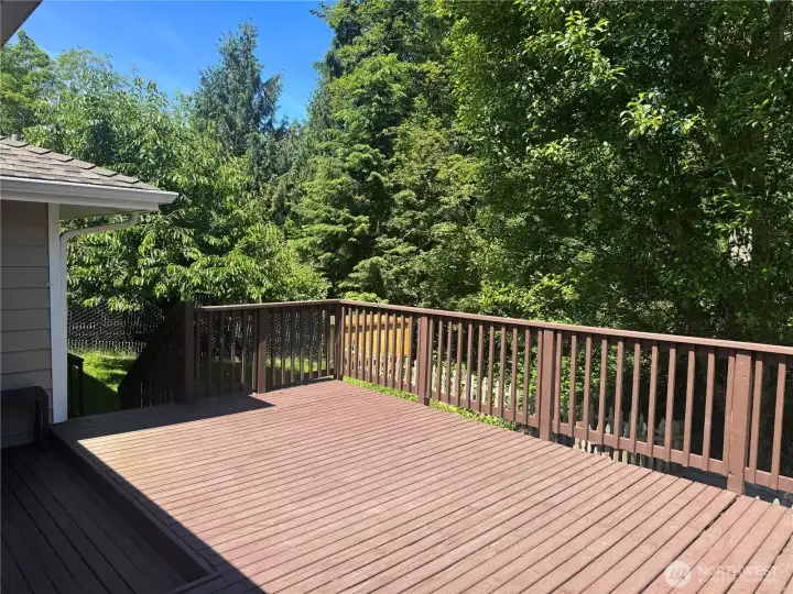 Back Deck #1. Back Deck #1.