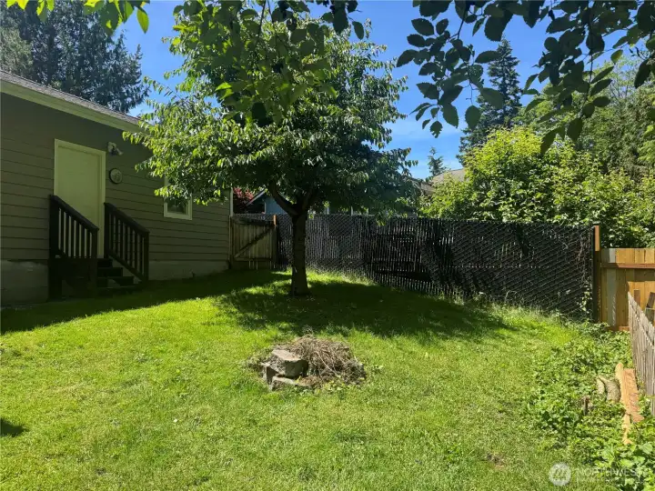 Back Yard. Back Yard.