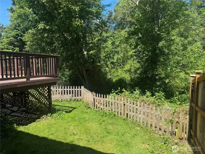 Back Yard #2. Back Yard #2.