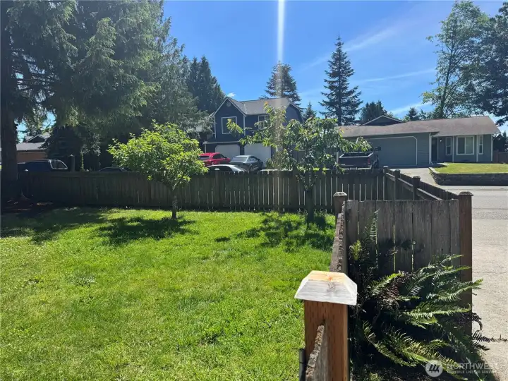Front Yard #1. Front Yard #1.