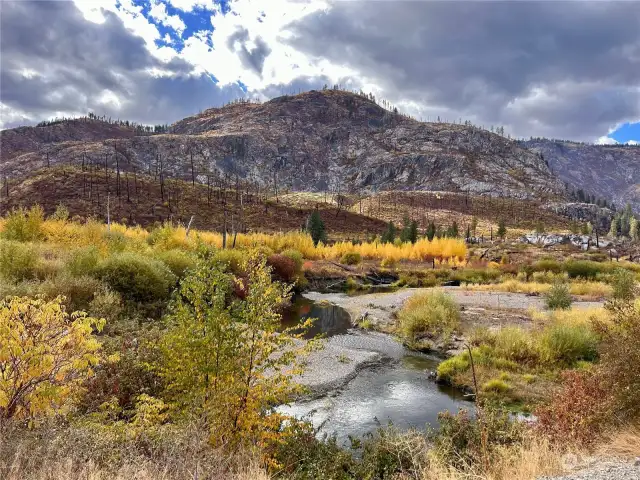 There is a year round creek on the property but this is a view driving into the property, not the property itself.