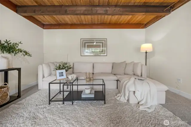 Lower level living room
