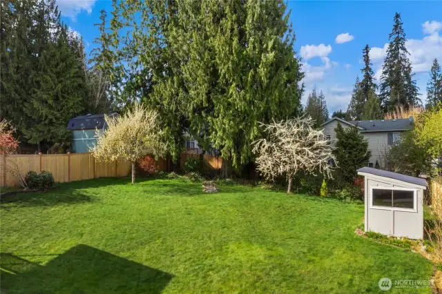 Back yard with shed