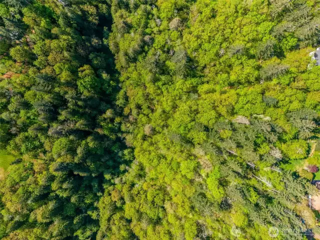 Property from the top