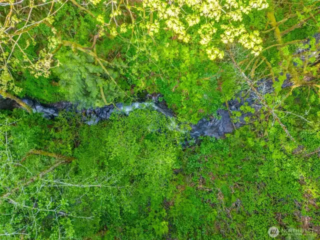 Creek on the property.