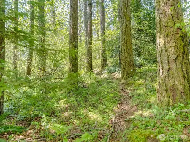 Picture from the ground.