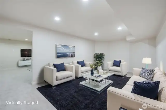 A totally different lower level finished room...V.S.