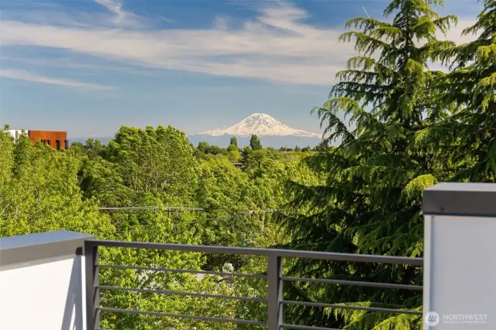 Stunning views of Mount Rainier from your private rooftop deck.