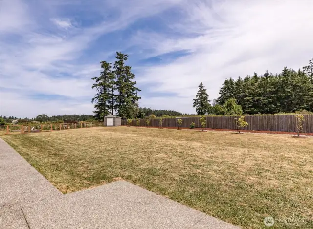 Expansive, level yard