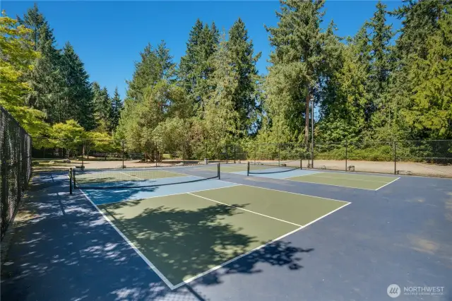 The recently refinished pickleball courts are sure to be the center of many summer days! The community offers soccer fields, baseball fields and a community pool!
