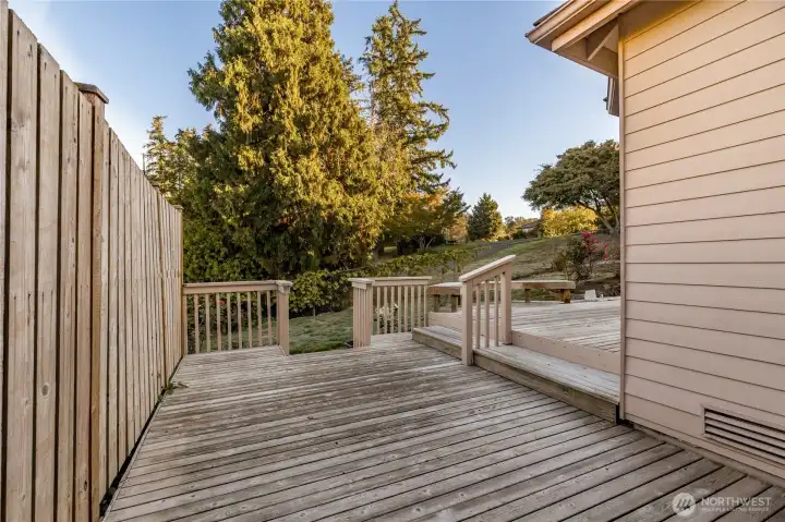 Another view of the dual level back decking