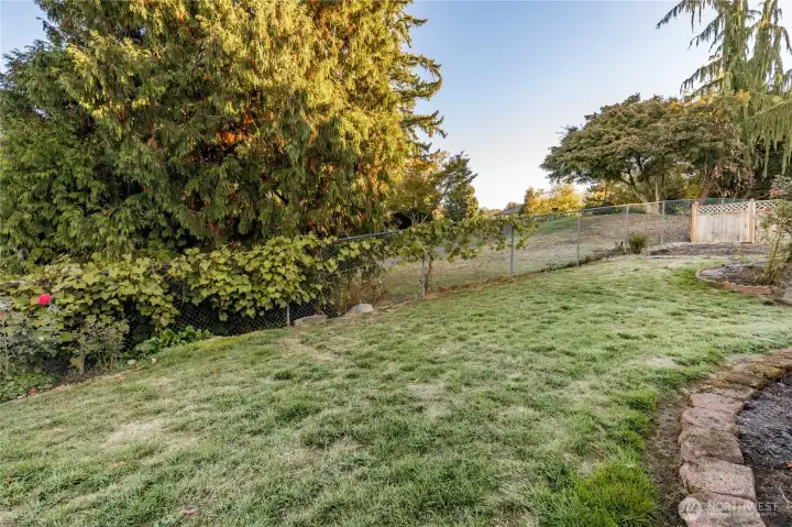 The back yard, suitable for entertaining and gardening