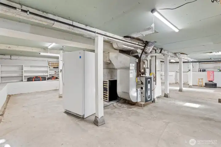 Another view of the basement, which has access from the inside of the house, and also has an exterior entry