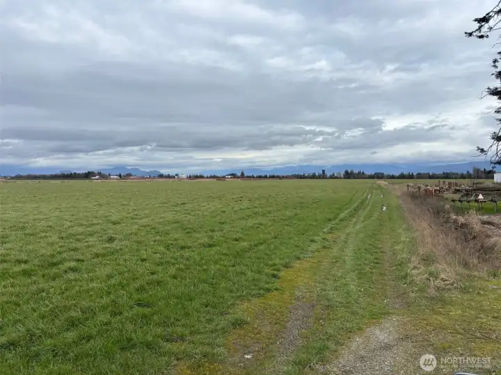 Rich farmland with great views of the Cascade Mountains and the Canadian Mountains to the North.