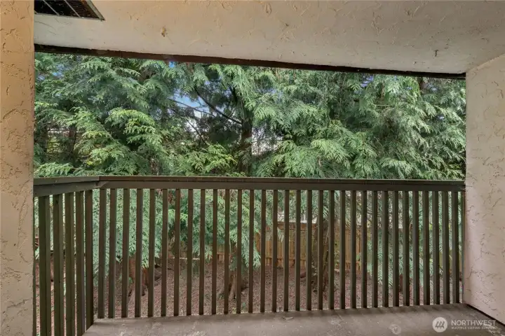 Step out from the living/dining areas for a quick BBQ.