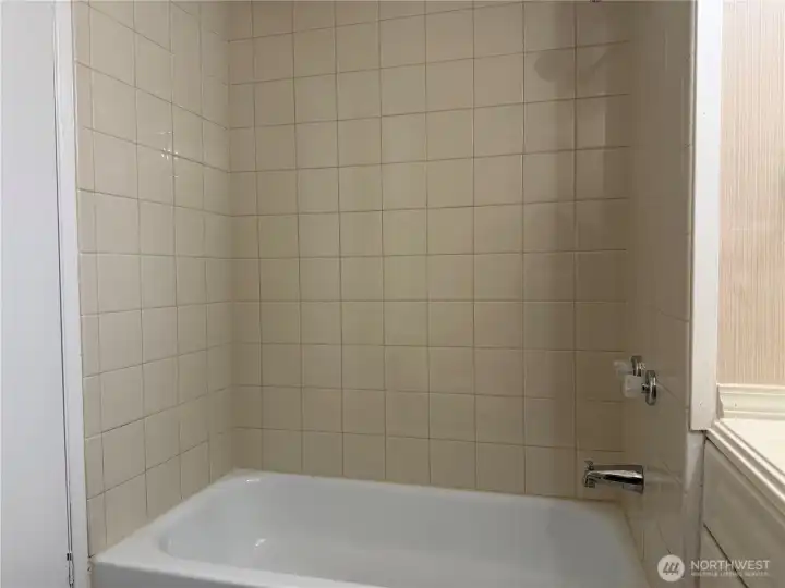 Tub shower combo