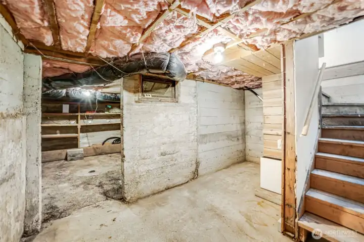 Unfinished Basement
