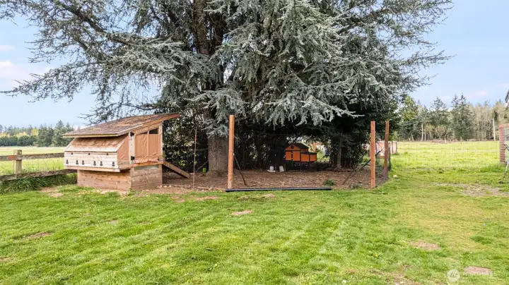 Large Chicken Coop included! This property is mini-farm ready!