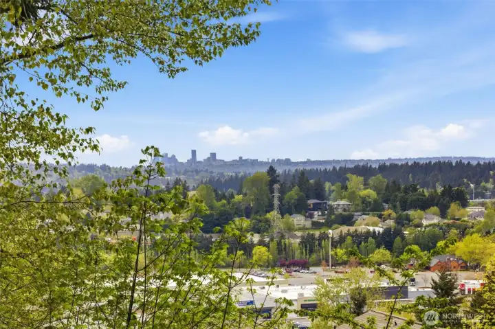 Views toward the Olympics, DT Seattle, and the Space Needle