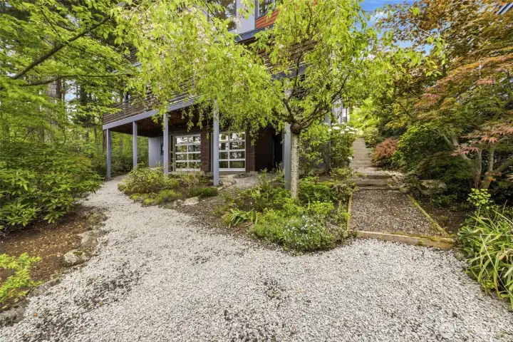 Established garden with fruit trees, grapevines, raspberries, Japanese maples,for privacy, and rhododendrons from around the world.