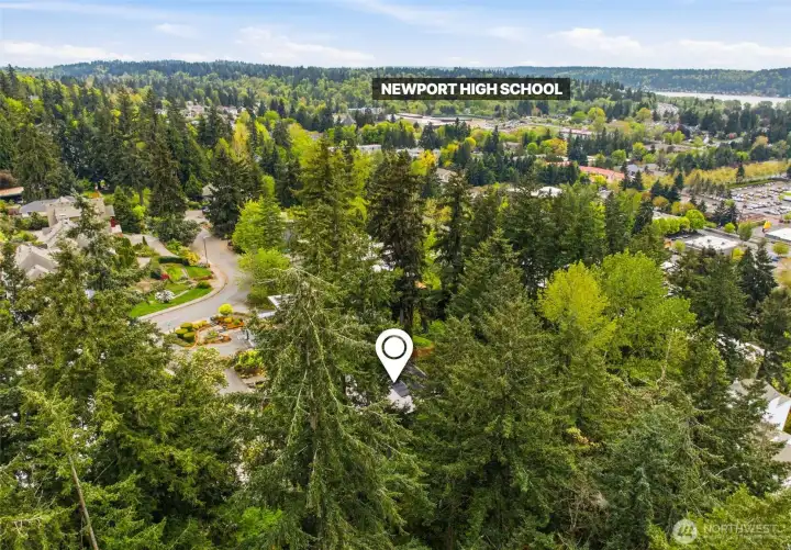 A rare Bellevue setting with privacy, greenery, and outlooks