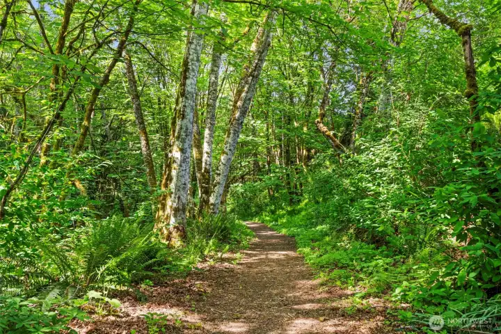 Nature trail from park to the beach Nature trail from park to the beach