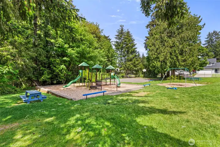 The park/ playground The park/ playground