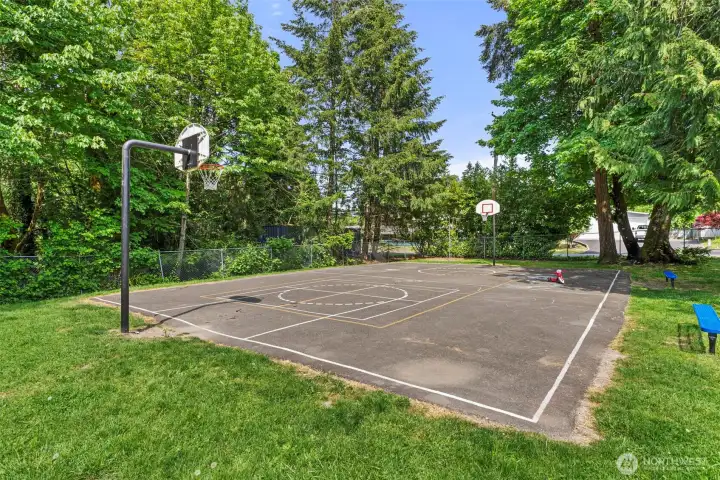 Courts at the park Courts at the park