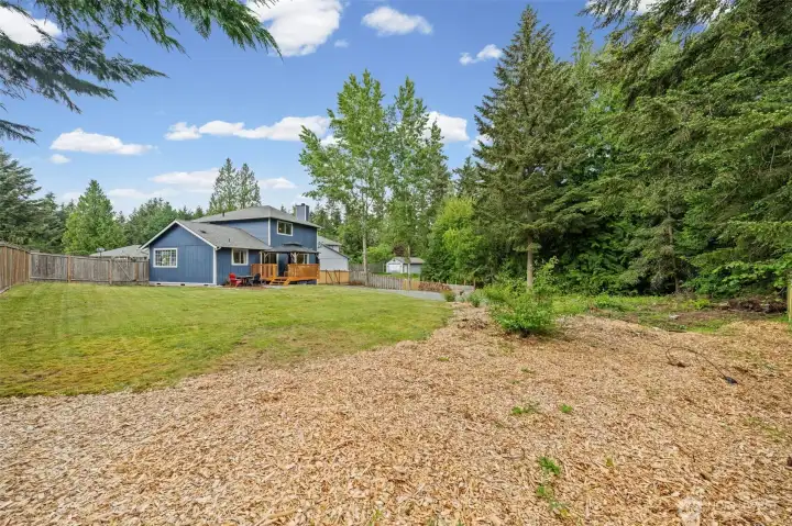 View from the SE corner of the back yard.