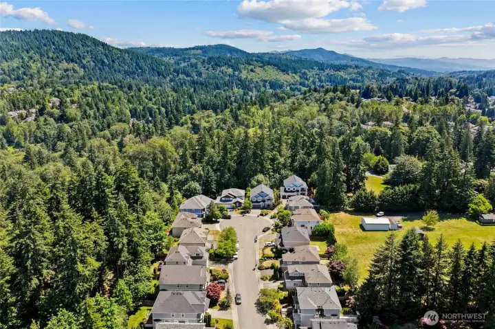 Aerial view of home with no rear neighbors, privacy! And a dead end cul-de-sac