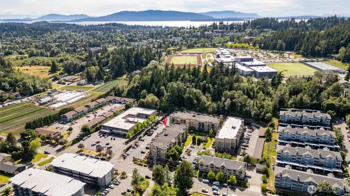 Aerial view shows Sehome High School, WWU Campus just beyond