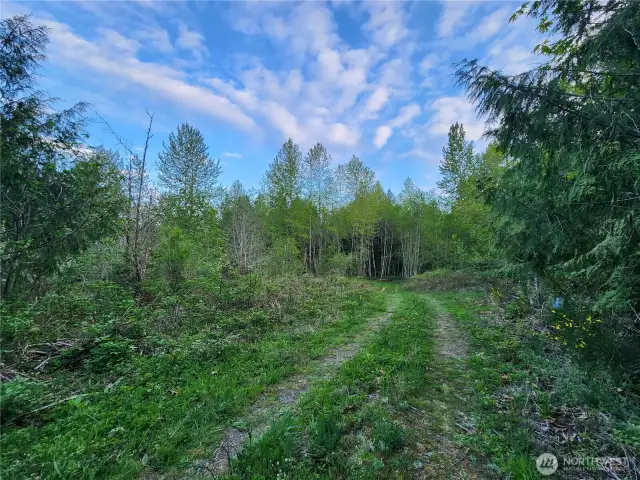 driveway into property