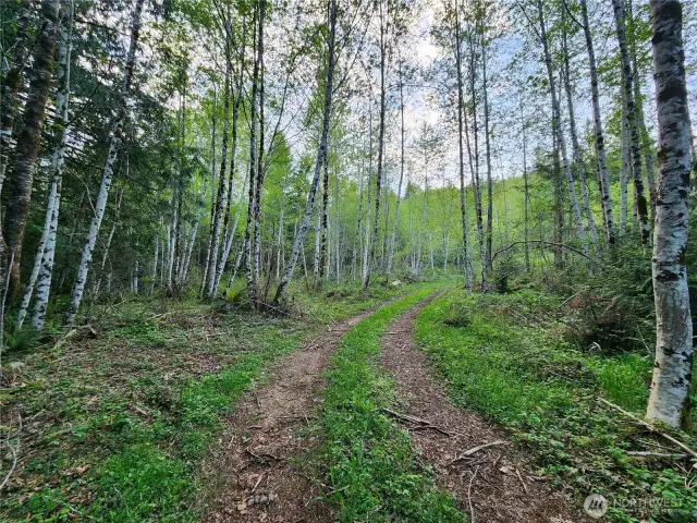 more of the driveway