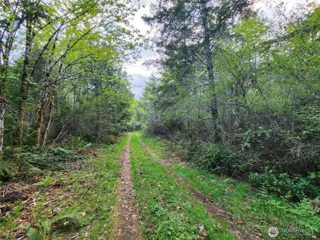 more of the driveway