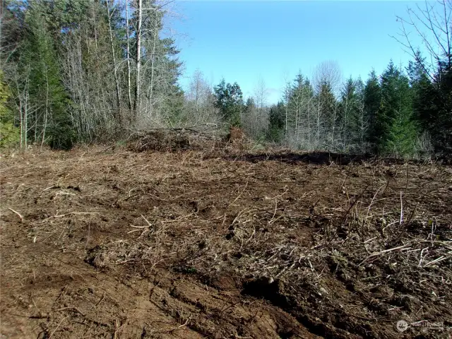 what cleared area looked like when first cleared